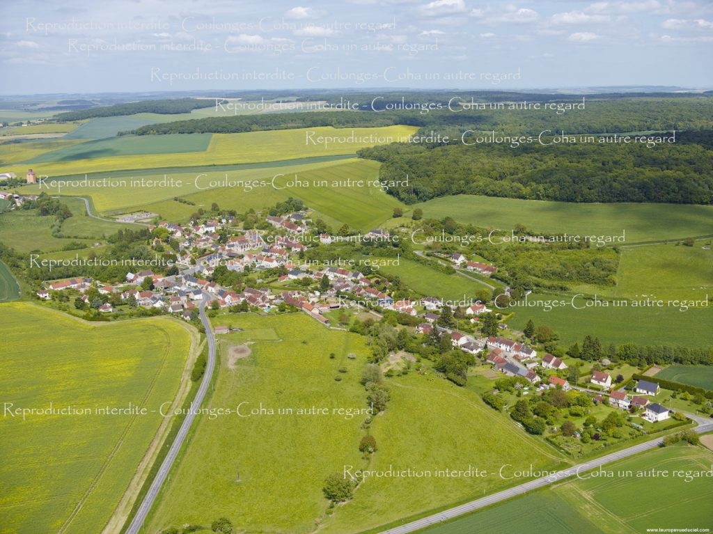 n°3 - Coulonges : Vue d’ensemble depuis les hauteurs de Chamery