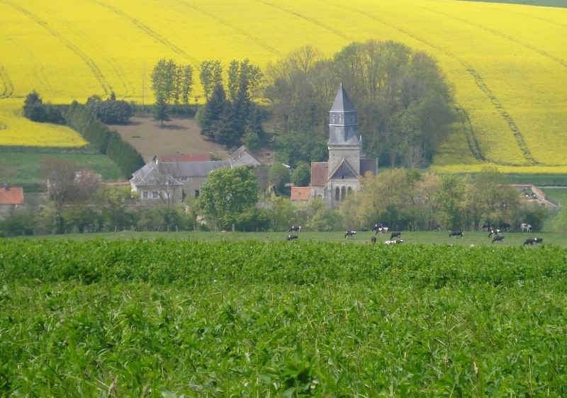 église de cohan